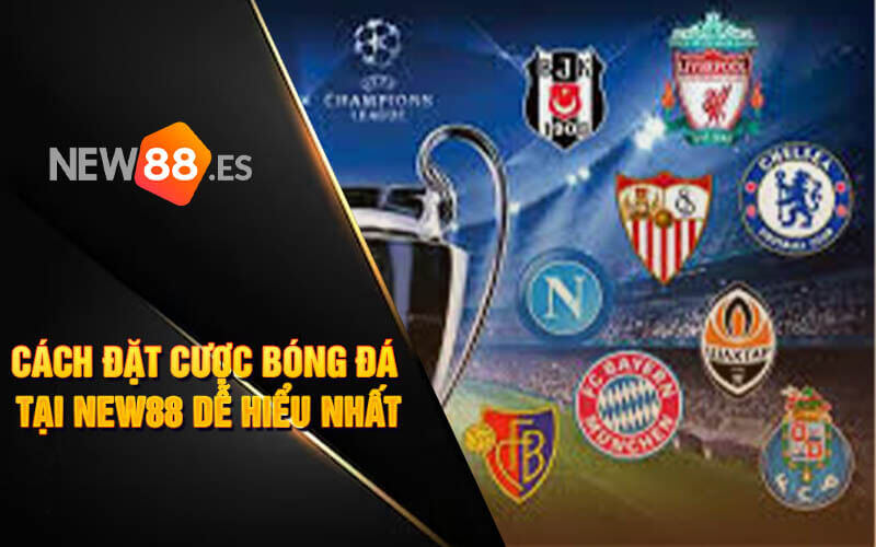 Cách Đặt Cược Bóng Đá Tại New88 Dễ Hiểu Nhất