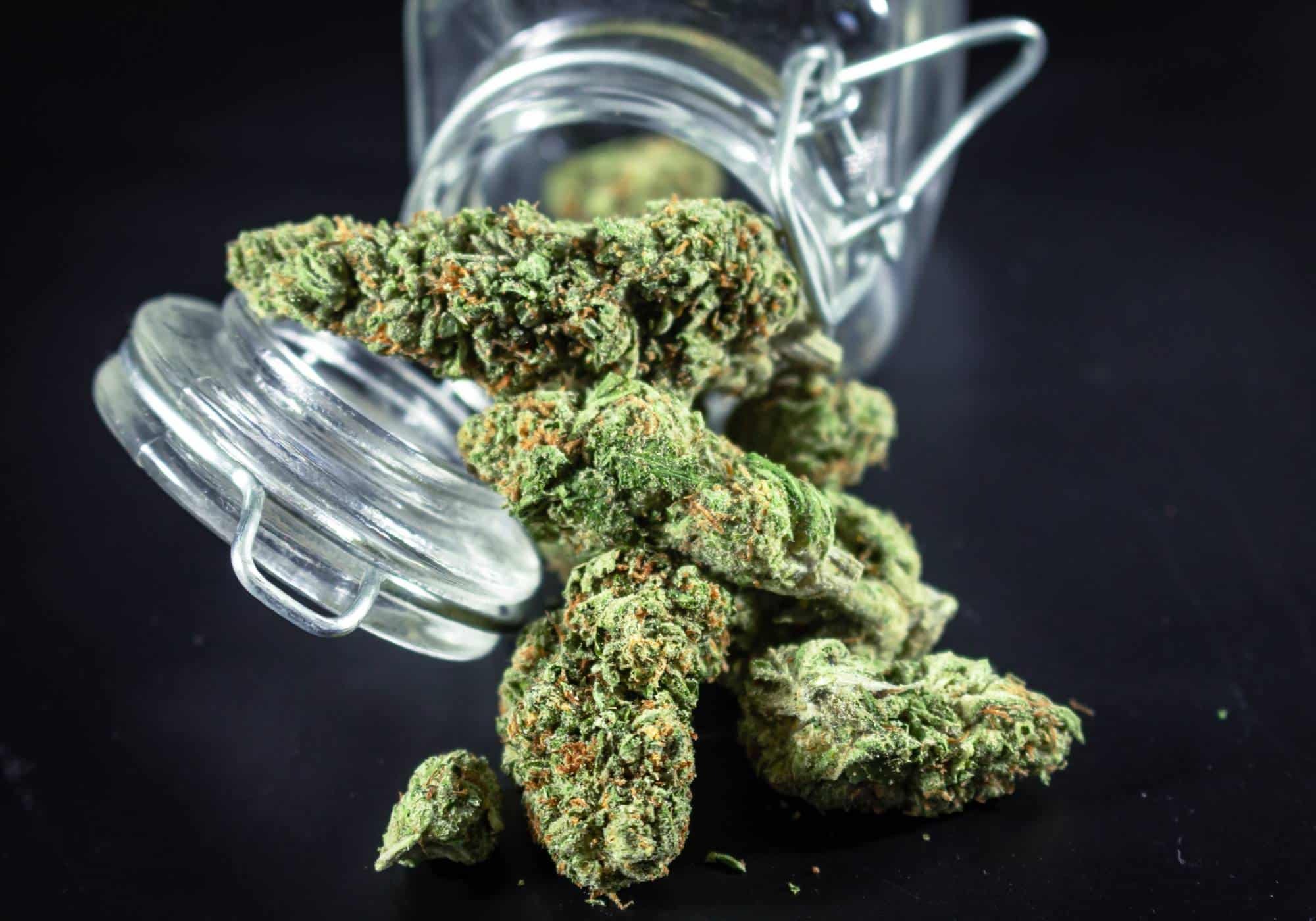 Why cleanest delta 8 flower Is the Best Choice for Quality